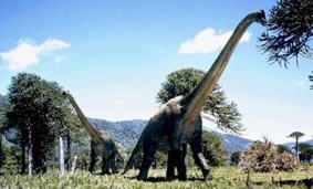 http://dinoworld.do.am/_nw/0/20223773.jpg
