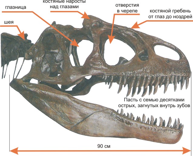 http://dinoworld.do.am/_nw/0/23504043.jpg