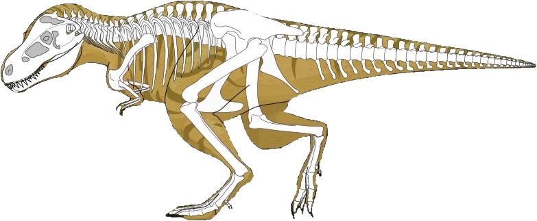 http://dinoworld.do.am/_nw/0/45338597.jpg