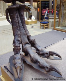 http://dinoworld.do.am/_nw/0/49074408.jpg